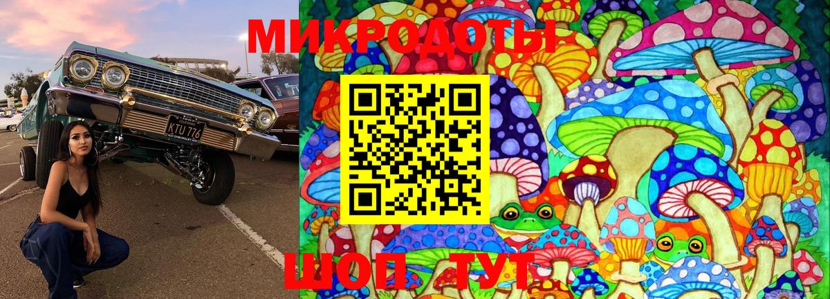 Галлюциногенные грибы Psilocybine cubensis Саяногорск